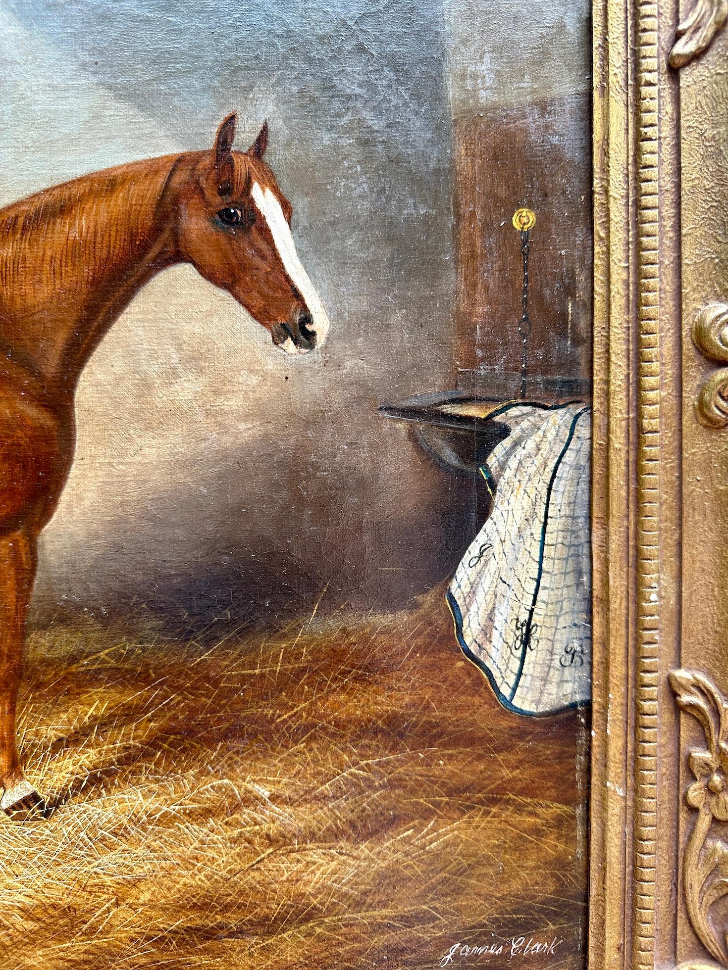 Ritratto inglese antico vittoriano di un cavallo/cacciatore in una stalla 4