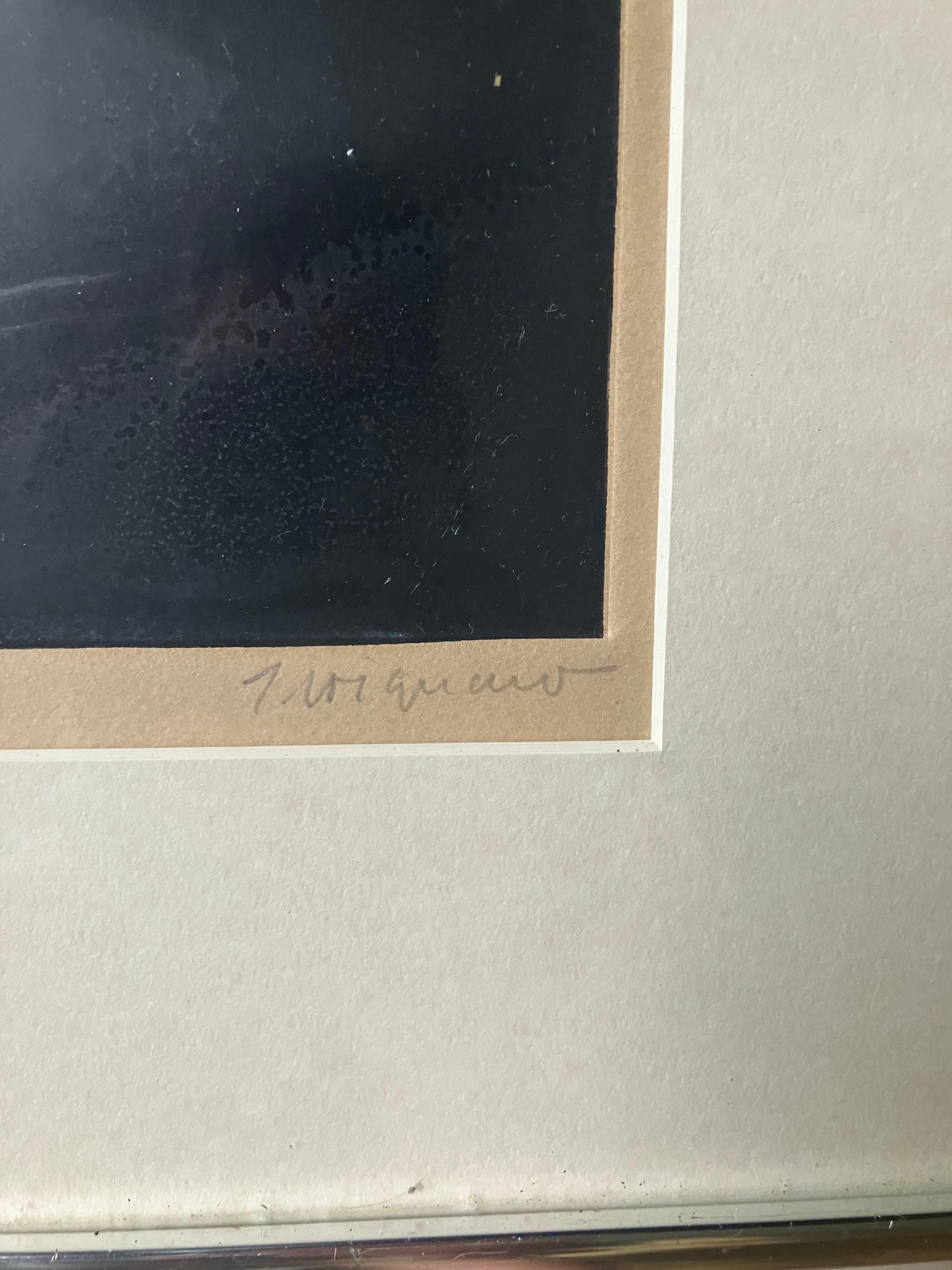 James Coignard Carborundum 