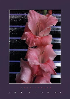 1983 – Lithographie offset « Gladiolus » de James Cordes, États-Unis