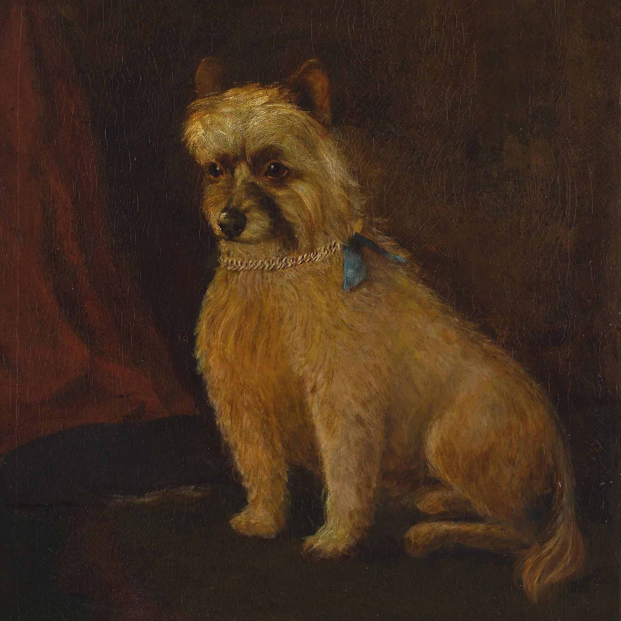 James Coutts Michie ARSA, Portrait Of A Terrier 4