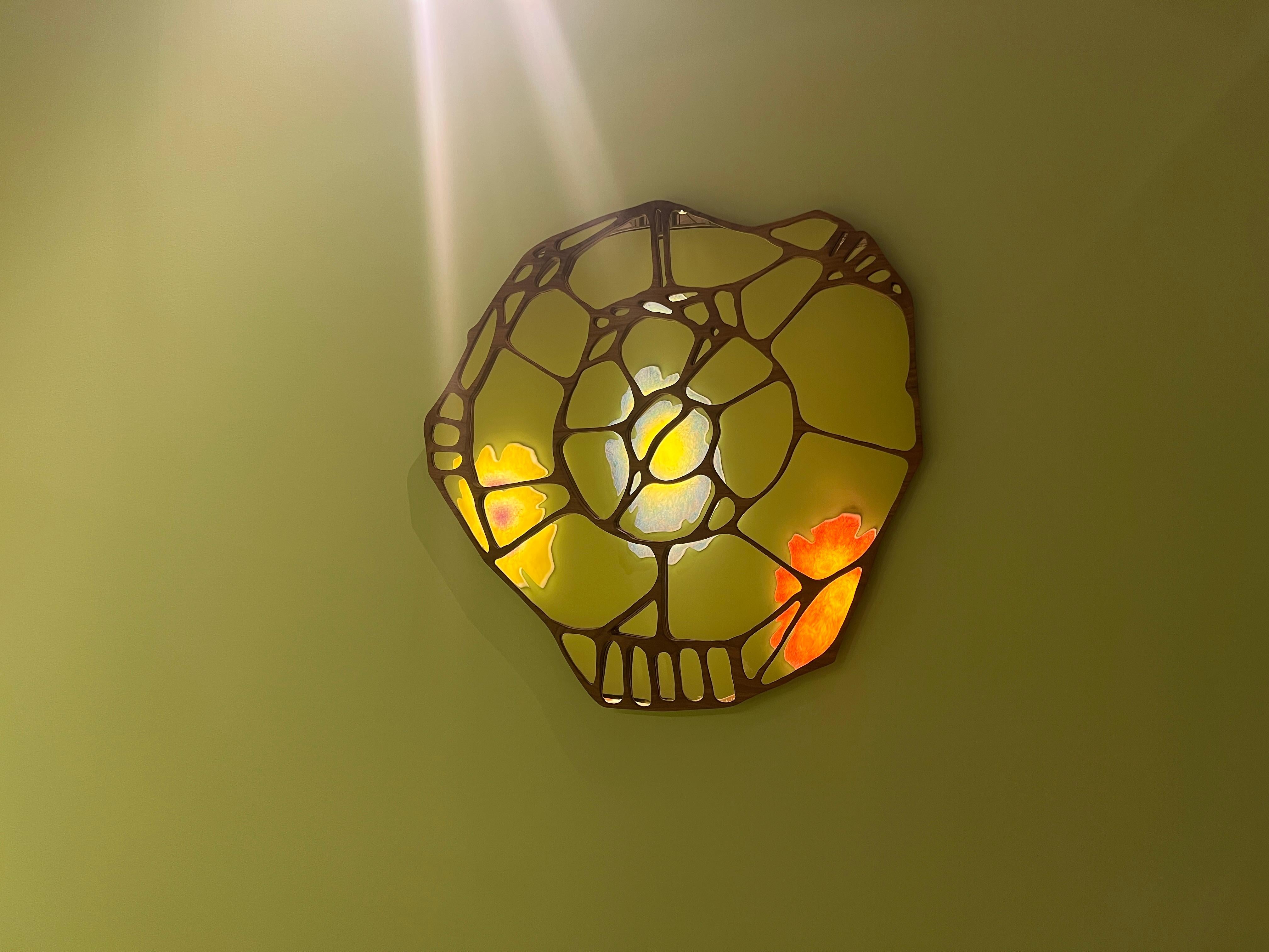 Walnut James de Wulf Exo Radia Mirror For Sale