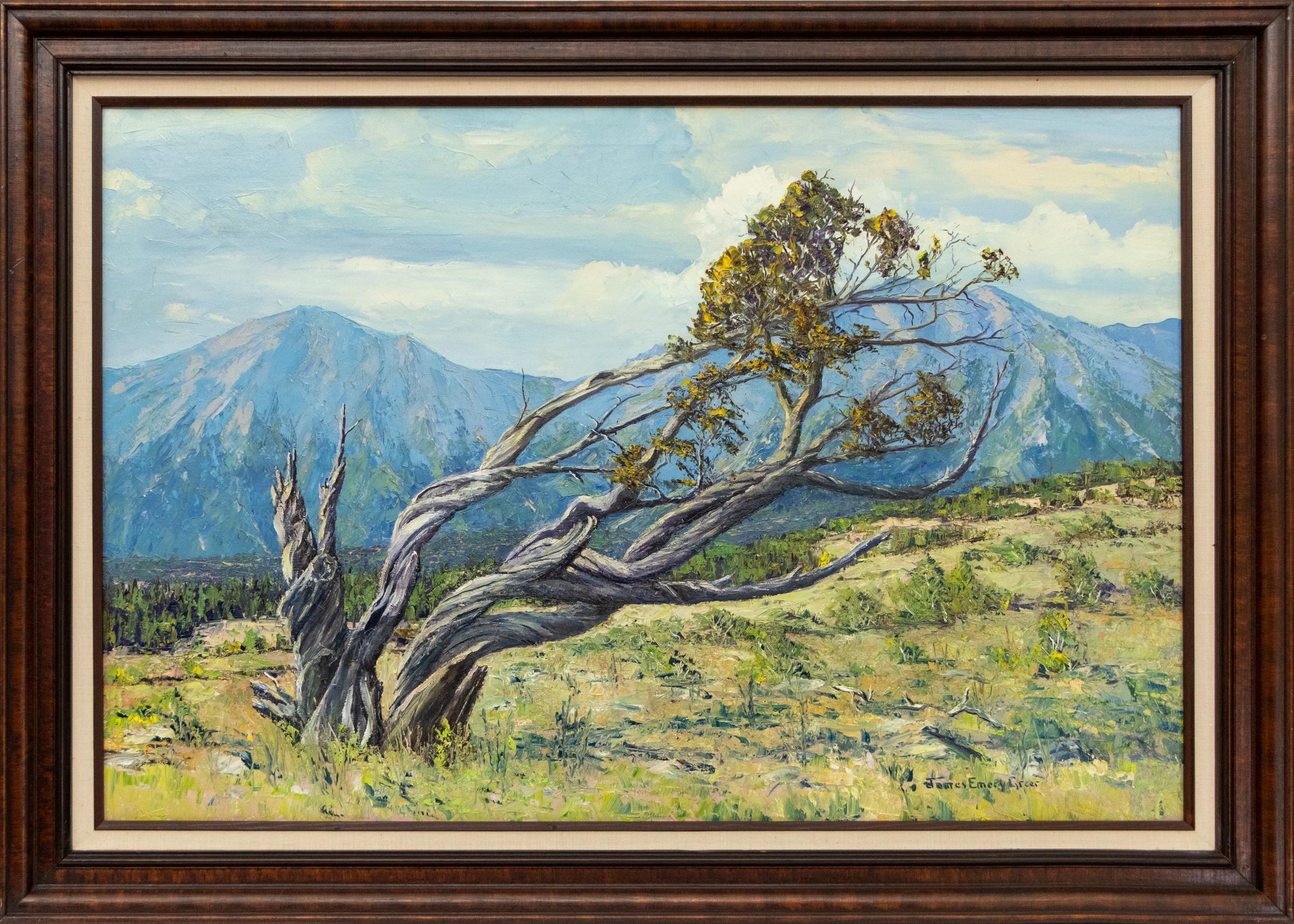 Battered by Wind and Storms, Sangre de Cristos Mountain, Ölgemälde, Colorado – Painting von James Emery Greer