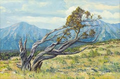 Battue par le vent et les tempêtes, peinture à l'huile de la montagne Sangre de Cristos, Colorado