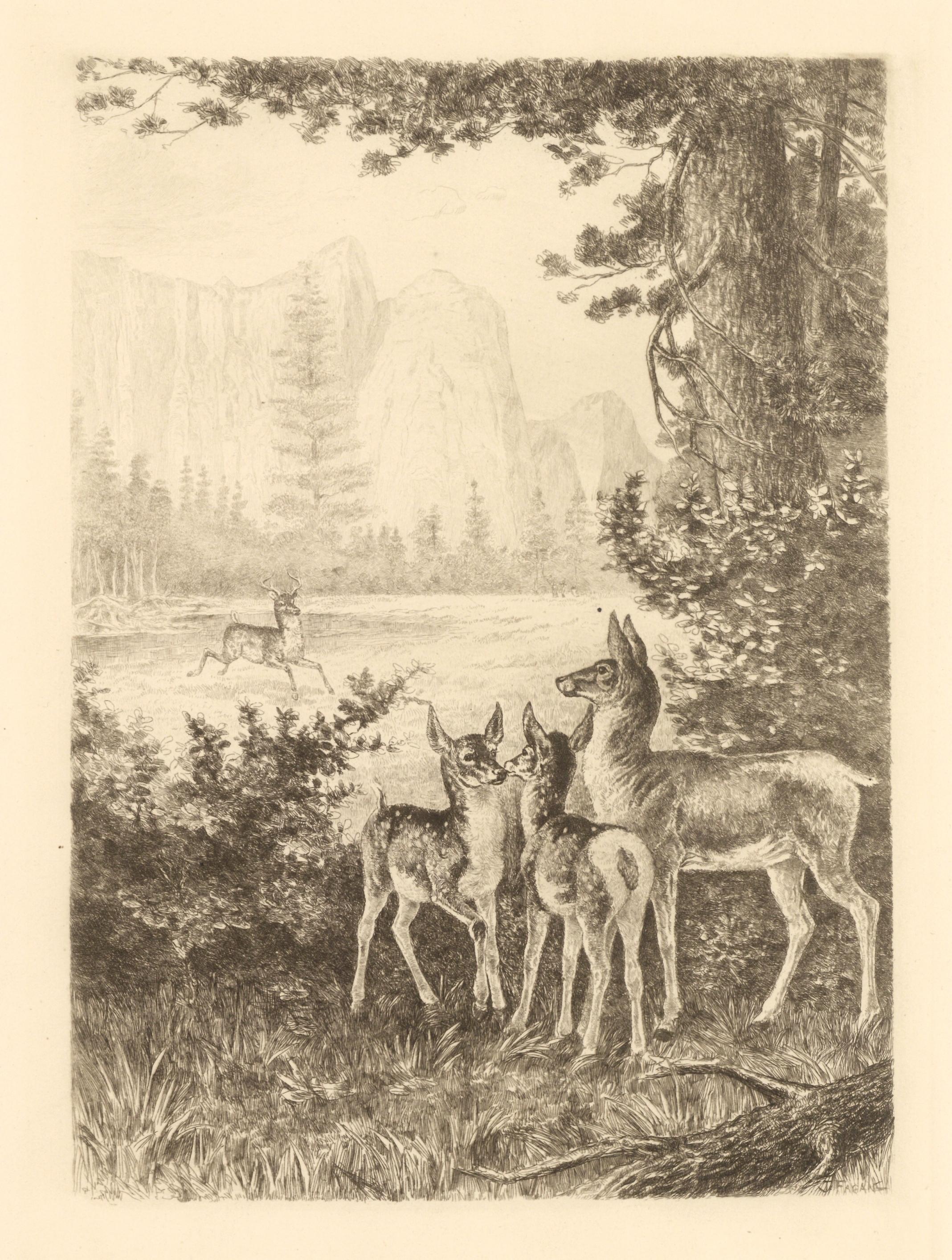 "Cathedral Rocks, Yosemite" etching - Print by James Fagan