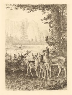 Antique "Cathedral Rocks, Yosemite" etching
