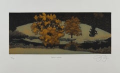 Aquarelle noire, mezzo-tinte de la côte du Maine par James Groleau