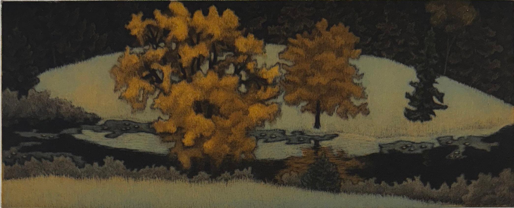 Questa è una delle diciotto mezzetinte a colori (stampate su chine collé) che raffigurano il paesaggio della costa del Maine. La tavolozza dei verdi e dei grigi, con tocchi aggiuntivi di viola, melanzana e ocra, è un'anticipazione del Movimento Arts