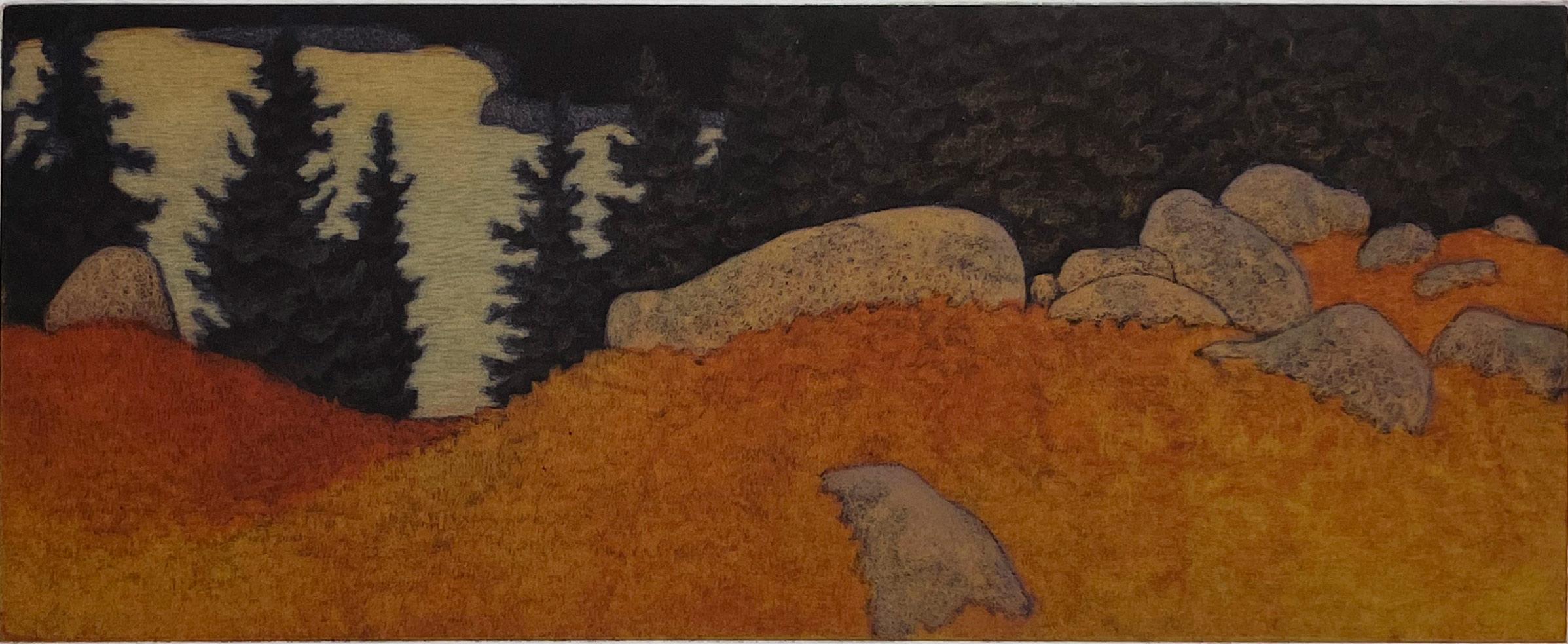 Landscape Print de James Groleau - Campo de arándanos cerca de la playa de Eggemoggin