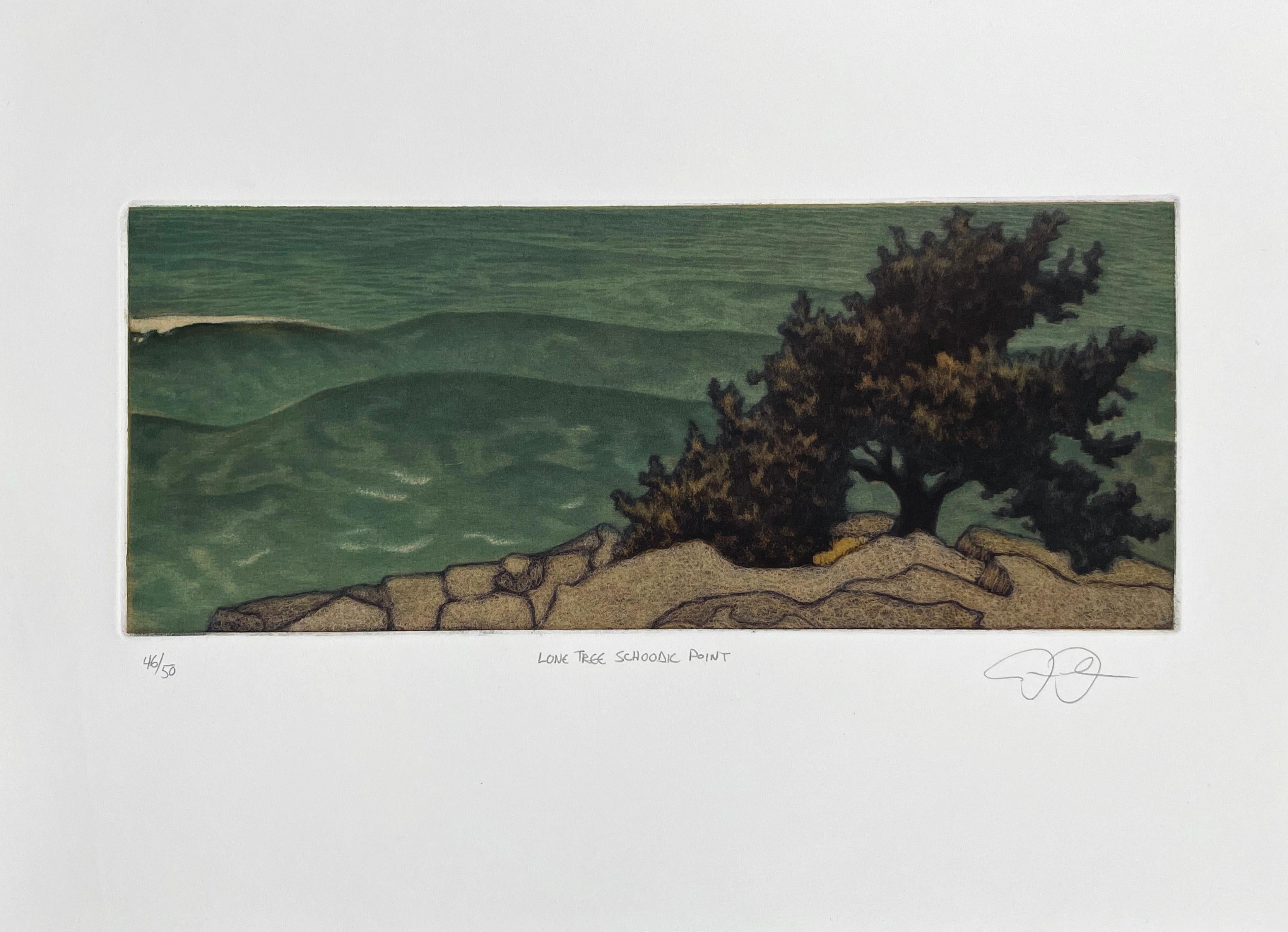 Lone Tree Schoodic Point, mezzotinta de la costa de Maine - Print de James Groleau
