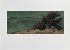 Lone Tree Schoodic Point, mezzotint print of Maine coastline