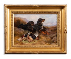 Brace di Gordon Setters