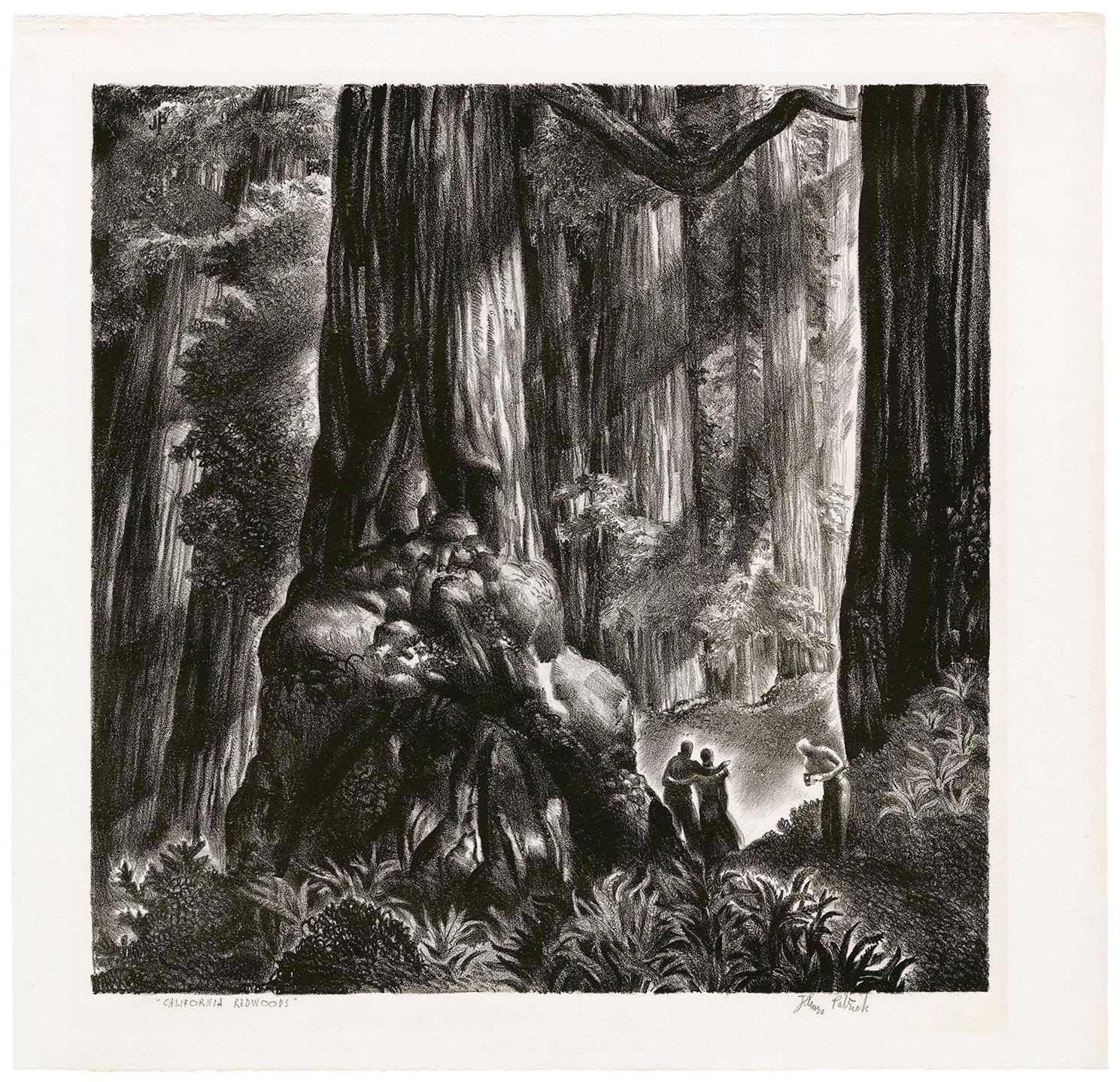 'California Redwoods' — 1940s American Realism - Print by James Hollins Patrick
