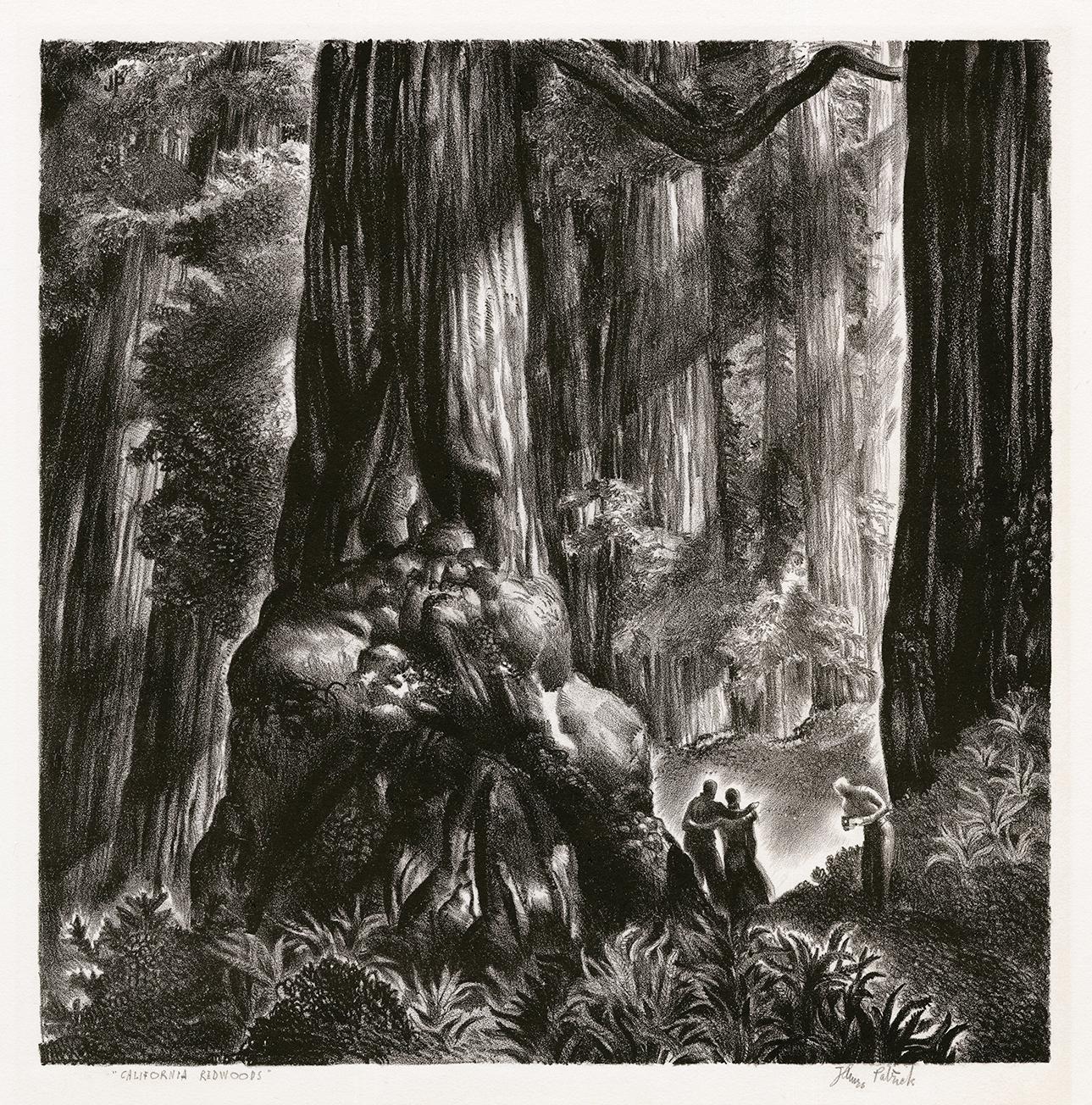 James Hollins Patrick Landscape Print - 'California Redwoods' — 1940s American Realism