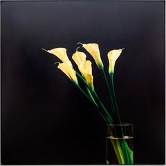 Calla Lily - luxuriante, sombre, détaillée, réaliste, florale, nature morte, huile sur toile