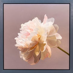 Peony 120516-01 - luxuriant, détaillé, réaliste, floral, nature morte, huile sur toile