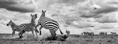 Drought, Tsavo, Kenya. (24" x 64.56")