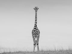 James Lewin - 19ft, Photography 2020, Printed After