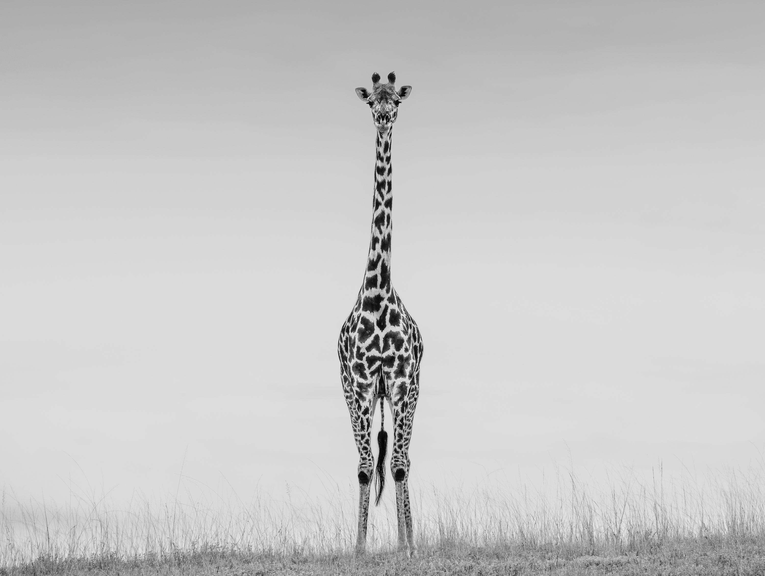 James Lewin - 19ft, Photography 2020, Printed After
