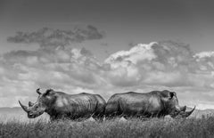 James Lewin - Espalda con espalda, Borana, Kenia, Fotografía 2019, Impresión posterior