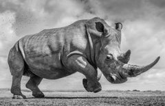 James Lewin - Atrápame si puedes, Fotografía 2022, Impreso después de