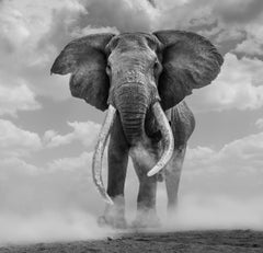 James Lewin – Colossal Craig, 2020, Fotografie 2020, Nachdruck