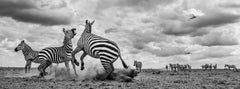 James Lewin - Sequía, Tsavo, Kenia, reproducción de
