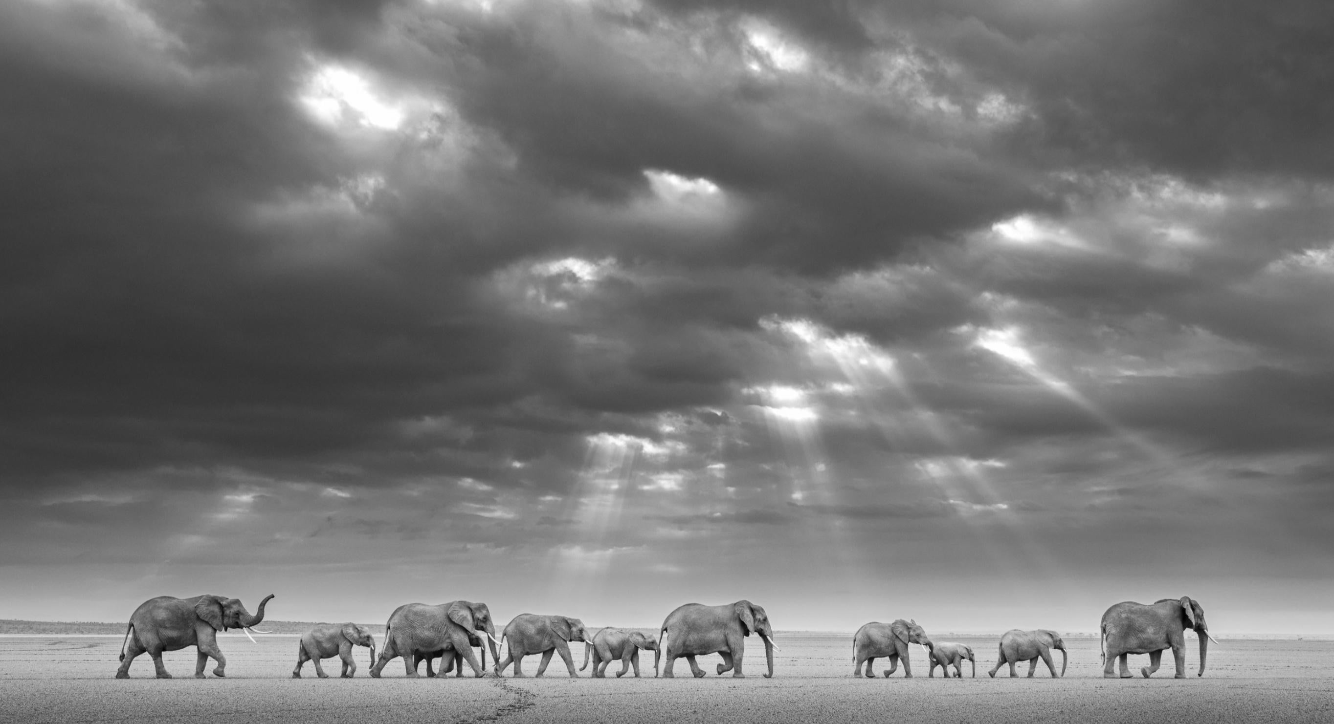 James Lewin - Follow the Leader, 2021, Printed After