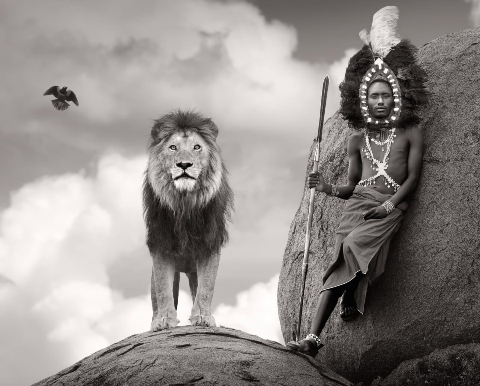 Available sizes:
18” x 22.5” - Edition of 8
28” x 35” - Edition of 8
38” x 47” - Edition of 6
48” x 60” - Edition of 6

"Wildlife fine art photographer and conservationist, James Lewin, is entirely self-taught and first became interested in