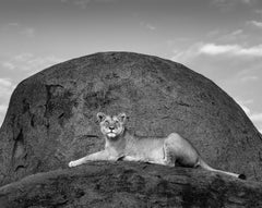 James Lewin – Königin von Utafiti, Fotografie 2021, Nachdruck