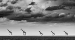 James Lewin - Skyscrapers of the Desert, photographie 2021, imprimée d'après
