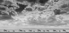 James Lewin - The Elephant Train, 2022, Printed After