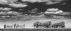 James Lewin - The Final Mile to Water, Photography 2021, Printed After