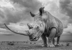 James Lewin - The Great Horn of Solio, Photography 2022, Printed After