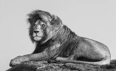 James Lewin - The King of the East, Photography 2022, Printed After