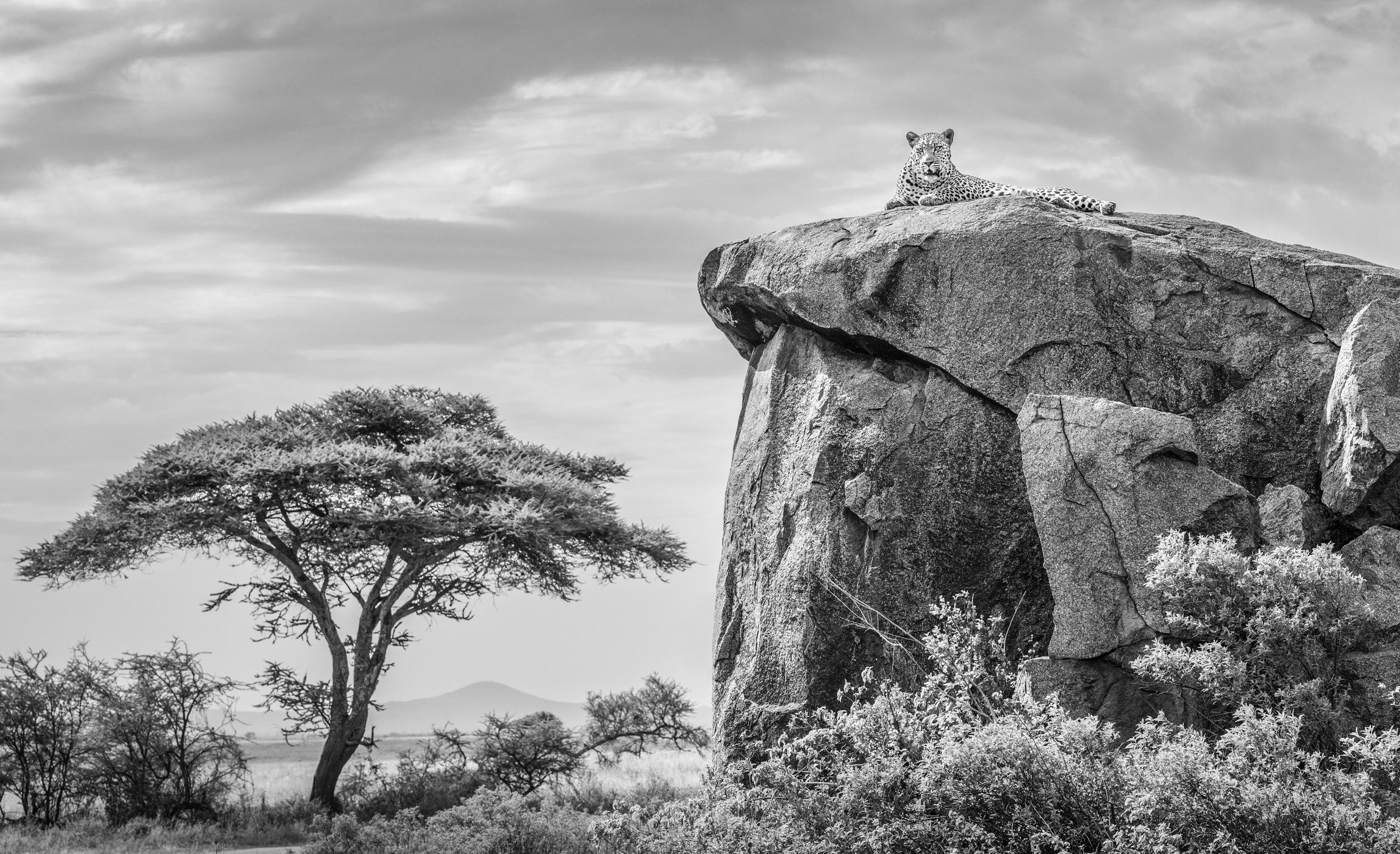 Available sizes:
18” x 29.52” - Edition of 8
28” x 45.92” - Edition of 8
38” x 62.32” - Edition of 6
48” x 78.73” - Edition of 6

Photography is usually about freezing a moment in time, but this image is so much more than that for me. It