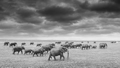 James Lewin - The Procession to Water, Fotografie 2021, Druck nach