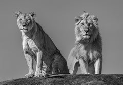 James Lewin - The Royal Couple, Photography 2022, Printed After
