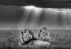 James Lewin - Sotto il grande cielo africano, 2022, stampa tratta da