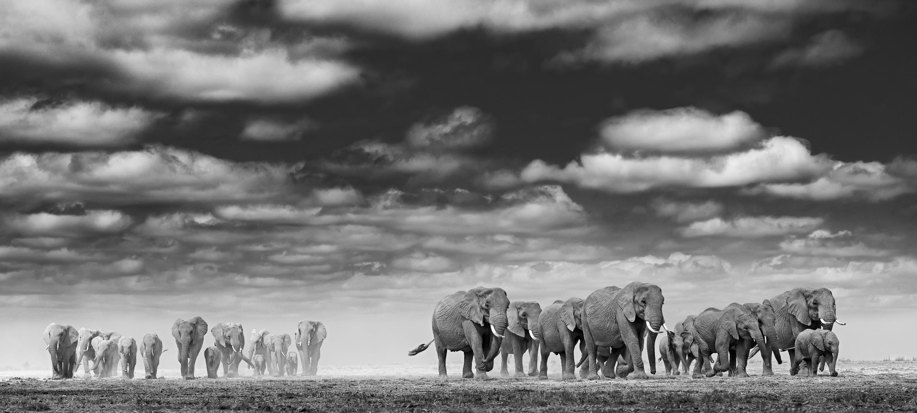 James Lewin Black and White Photograph - The Final Mile to Water, 2021 (44" x 97.55")