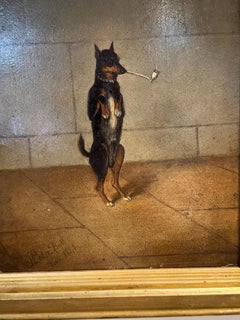 19th century English portrait of a standing terrier dog smoking a clay pipe