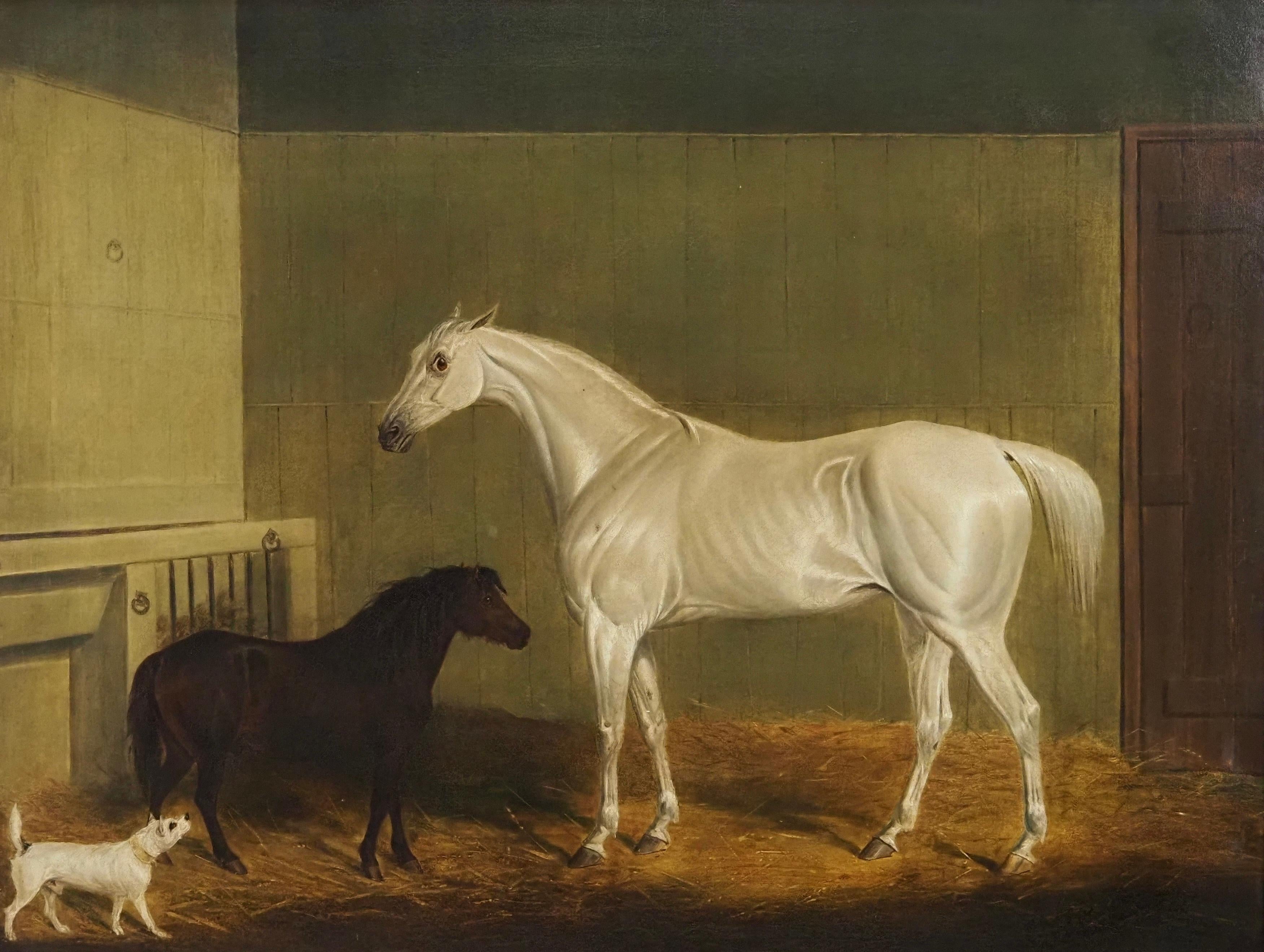 A grey horse, pony and terrier in a stable - Painting by James Loder of Bath