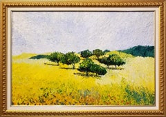 California Oaks