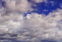 La primavera nel deserto