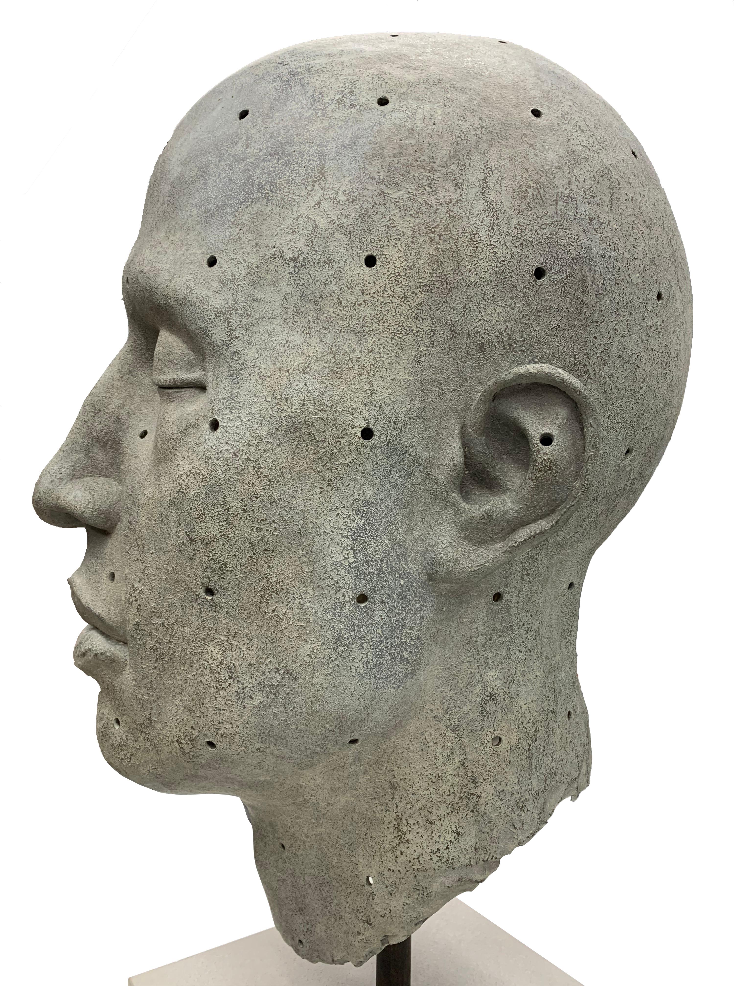 James Mathison, Cabeza grande con huecos, 2011, Bronze, 76 x 50 x 57 cm For Sale 1