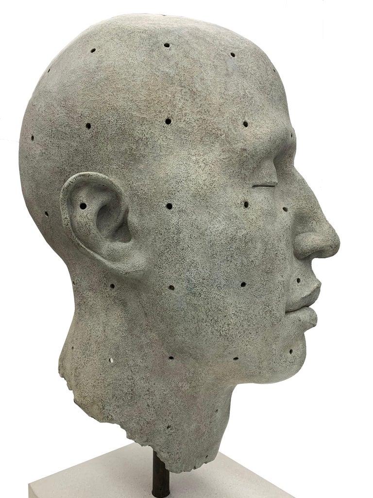 James Mathison - James Mathison, Cabeza grande con huecos, 2011, Bronze ...