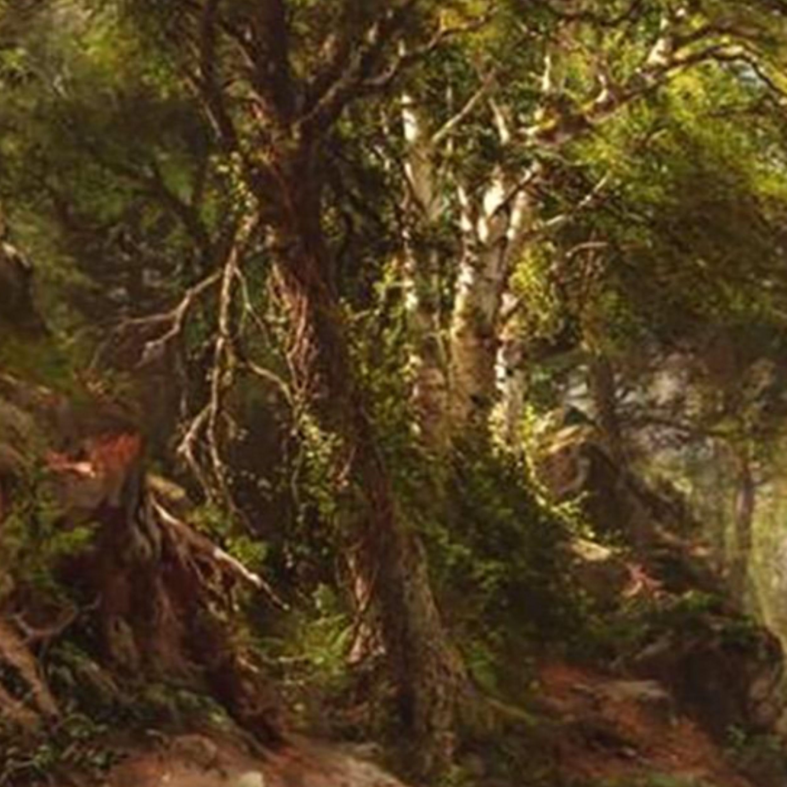 „Morning in the Adirondacks“ im Angebot 2