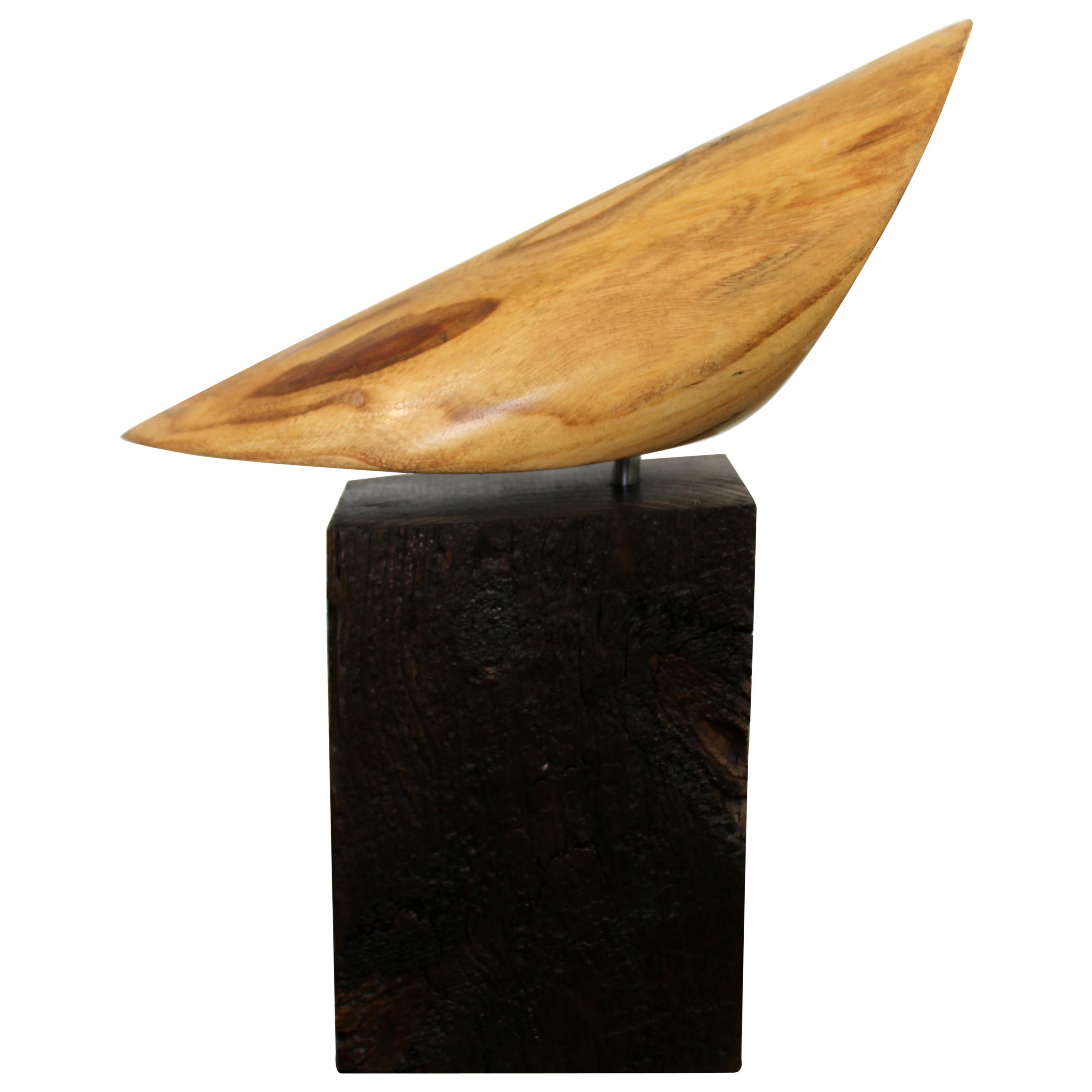 Sculpture semi-circulaire moderne en bois James Nani Flight 124