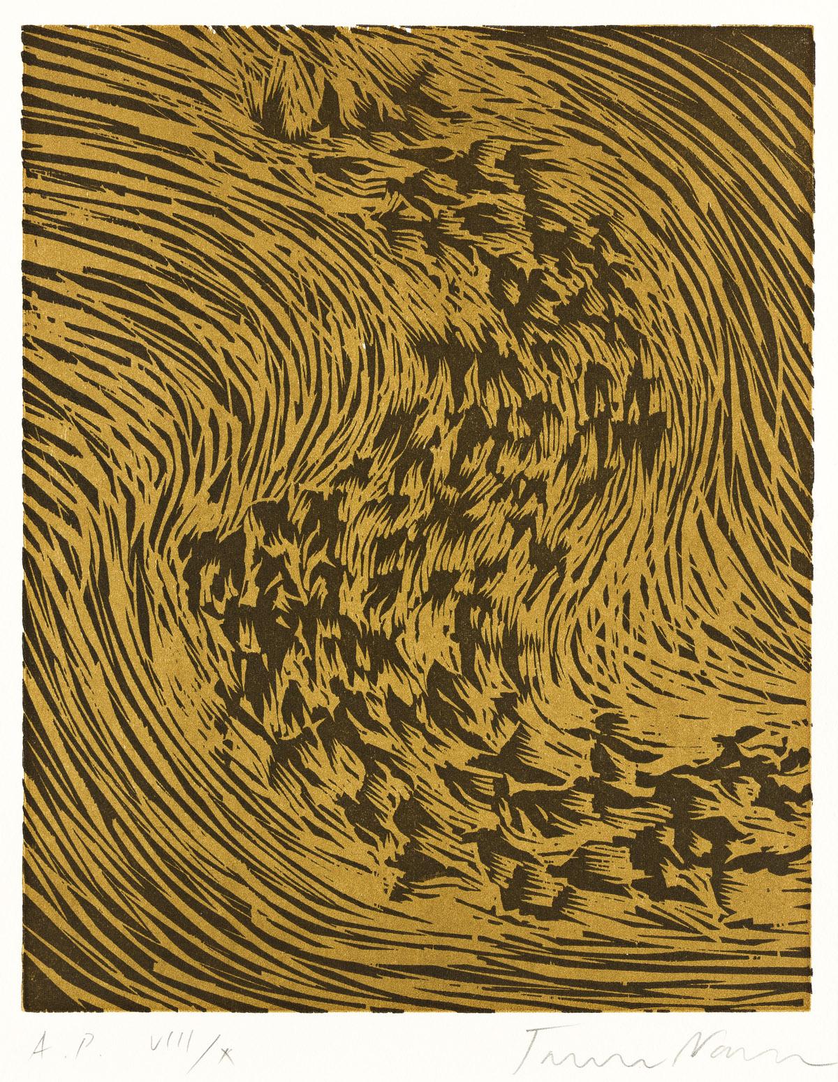 James Nares Abstract Print - Starling