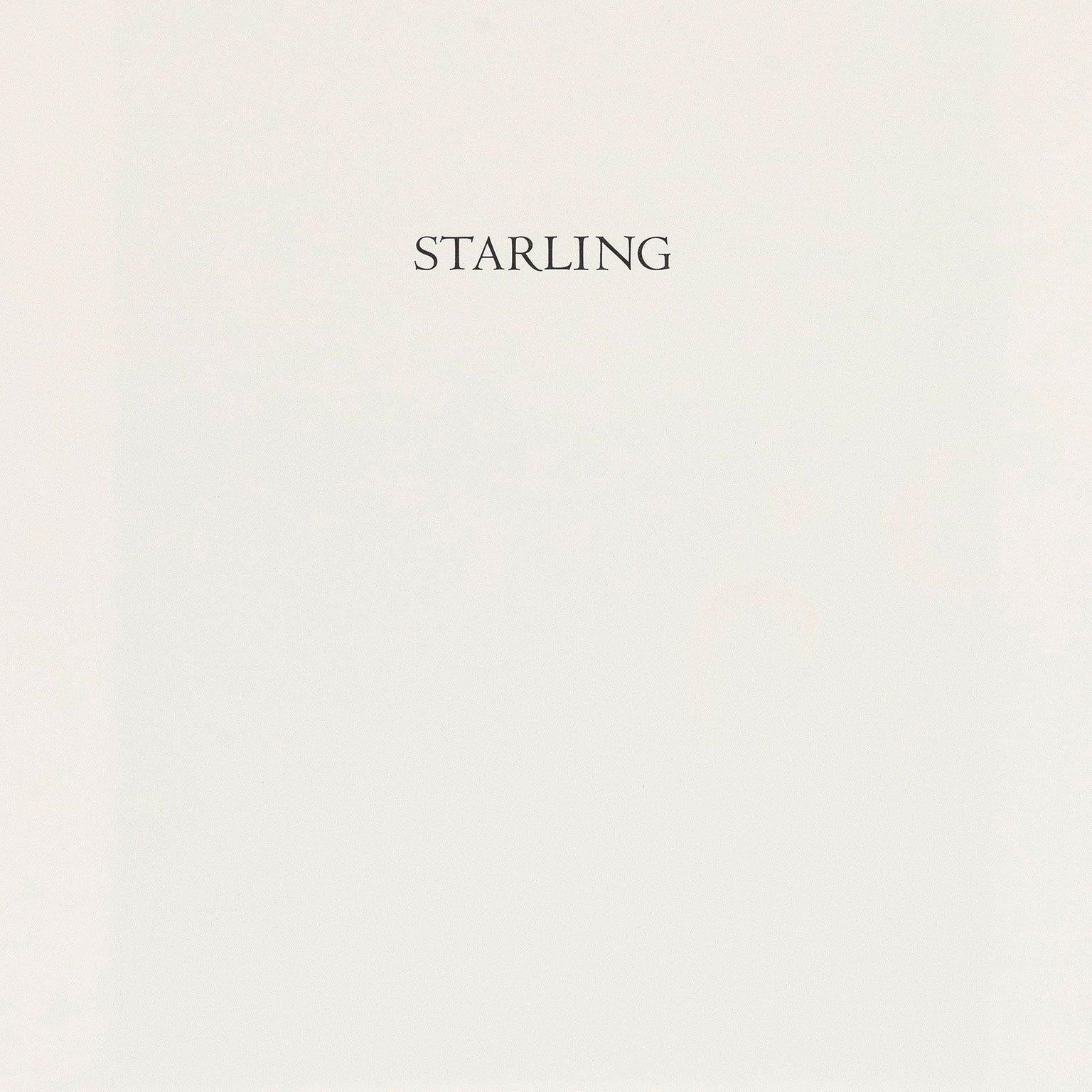 Starling (From artist book A Bestiary by Bradford Morrow)  - Abstract Print by James Nares