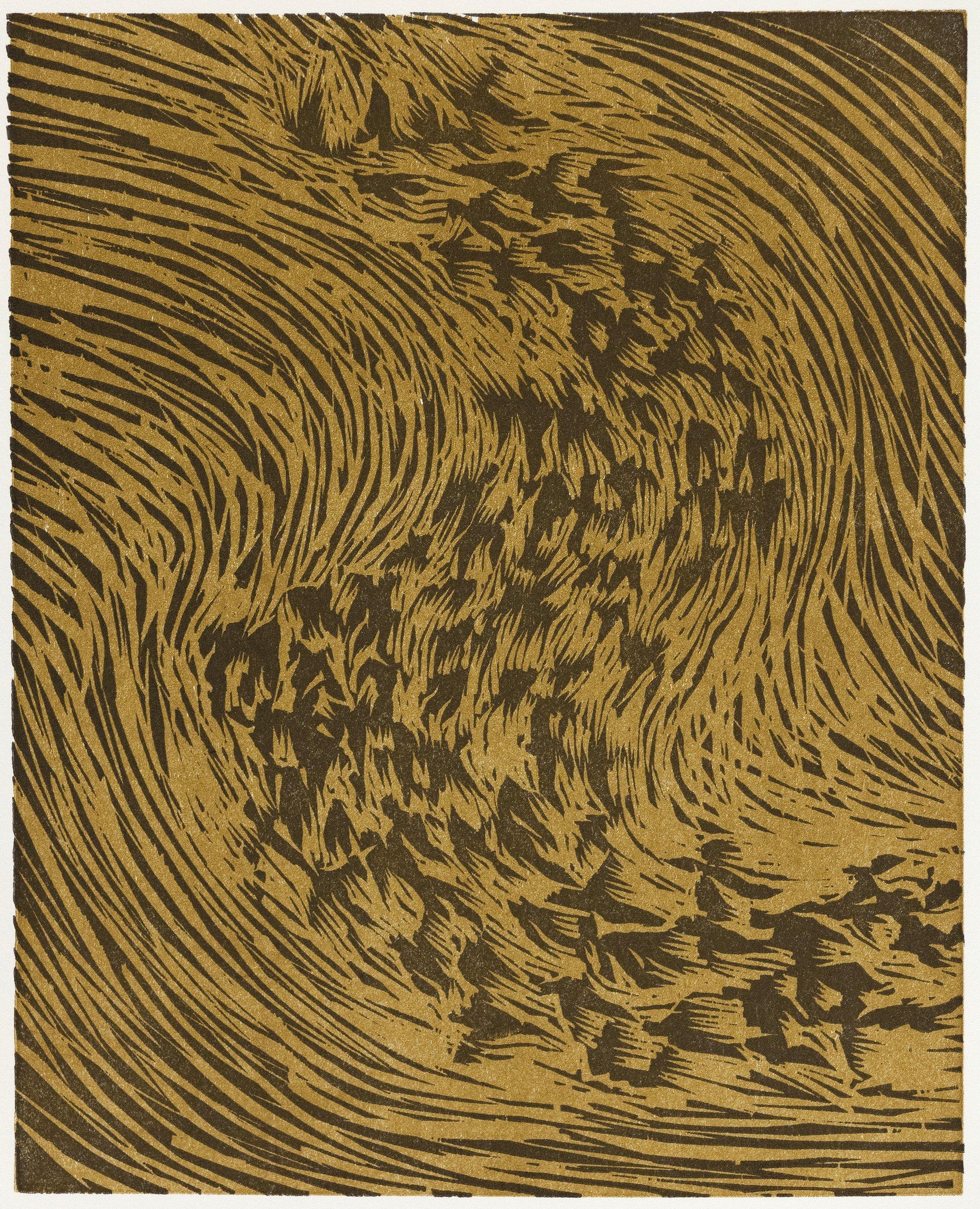 Starling (From artist book A Bestiary by Bradford Morrow)  - Print by James Nares